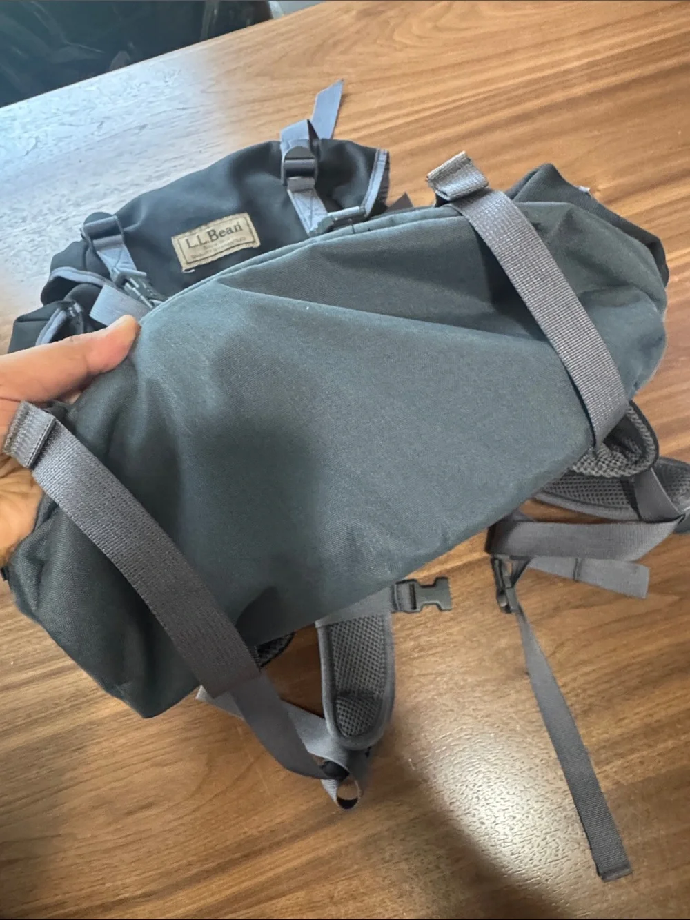 LL Bean Xl backpack